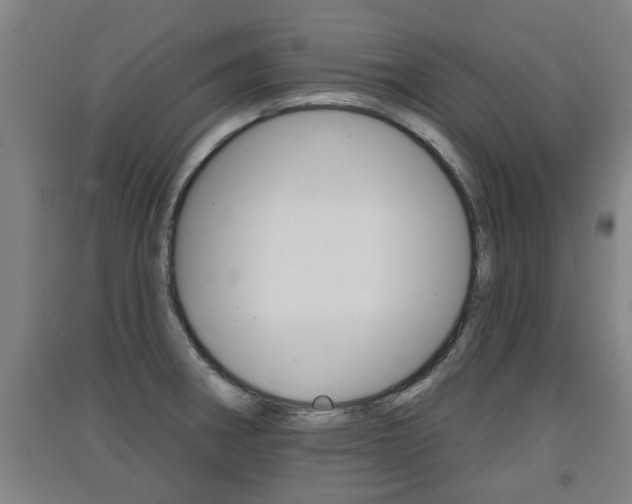 X0000091511282200708170942