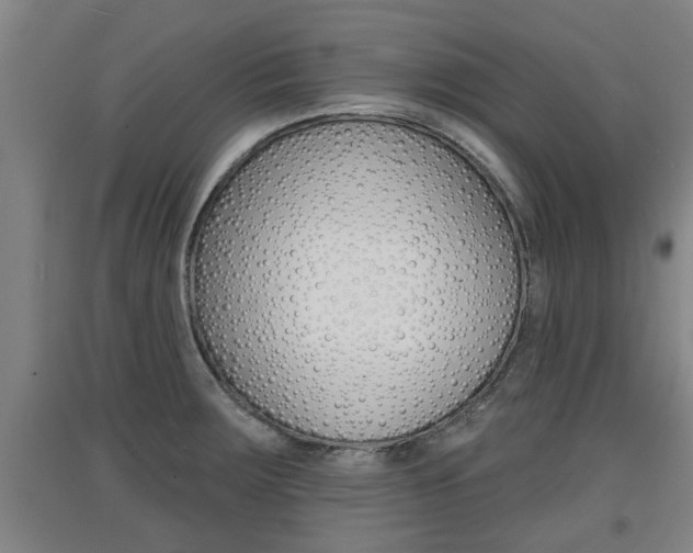 X0000091511283200708170942