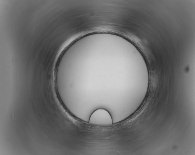 X0000091511286200708170942