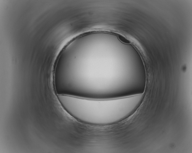 X0000091511288200708170942
