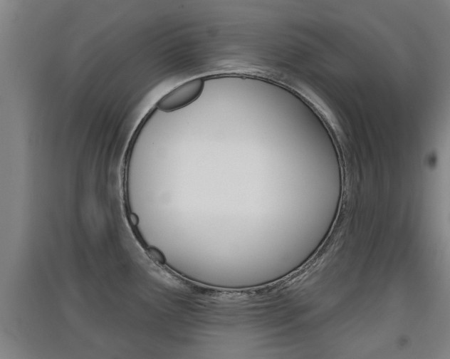 X0000091511291200708170942
