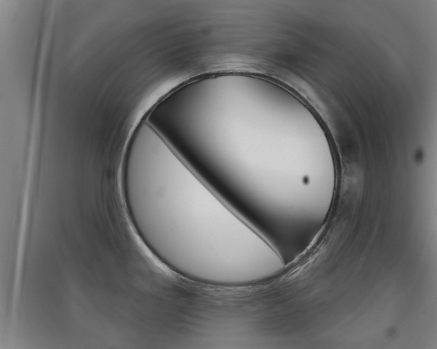 X0000091511293200708170942