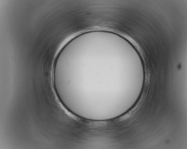 X0000091511294200708170942