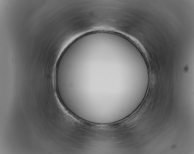 X0000091511295200708170942