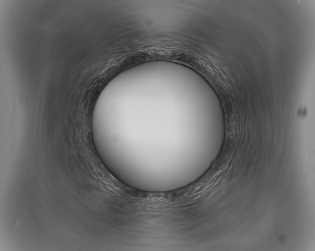 X0000091511297200708170941