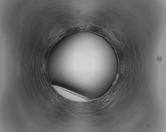 X0000091511298200708170941