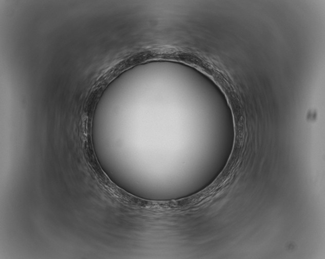 X0000091511301200708170941