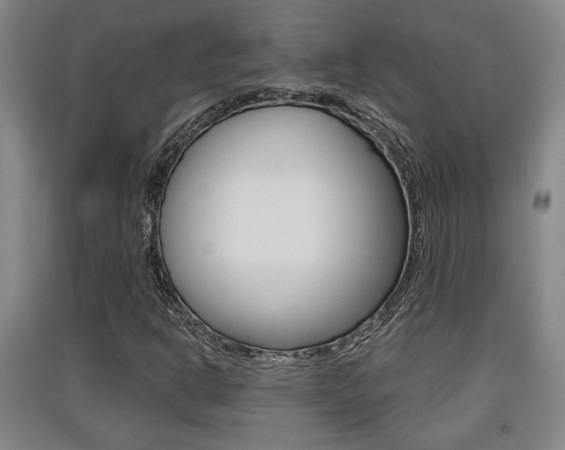 X0000091511302200708170941