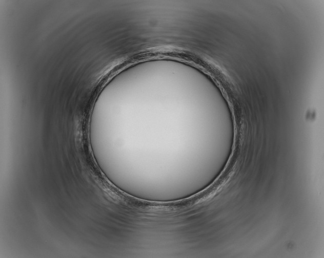 X0000091511305200708170941