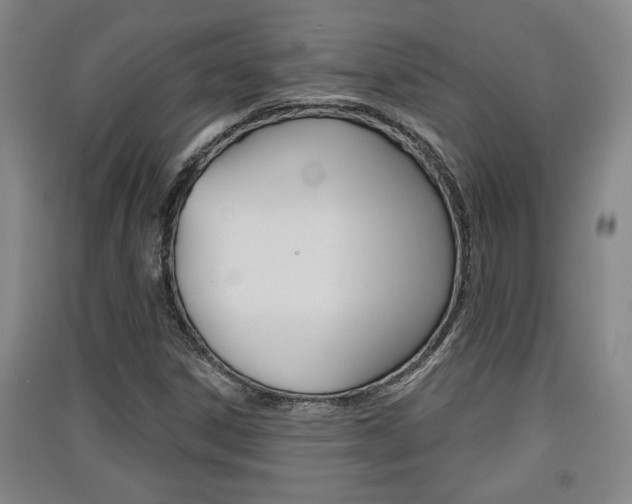 X0000091511306200708170941