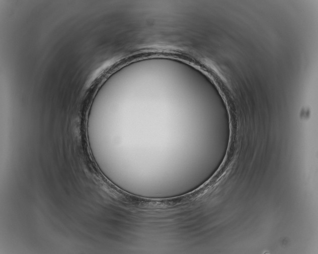 X0000091511307200708170941
