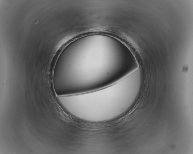 X0000091511308200708170941
