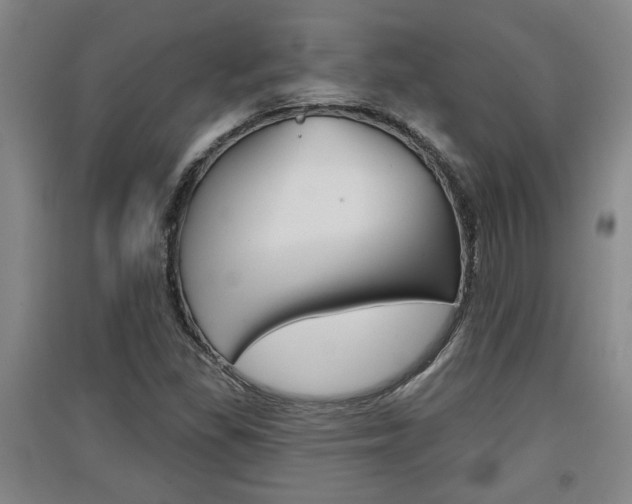 X0000091511309200708170941