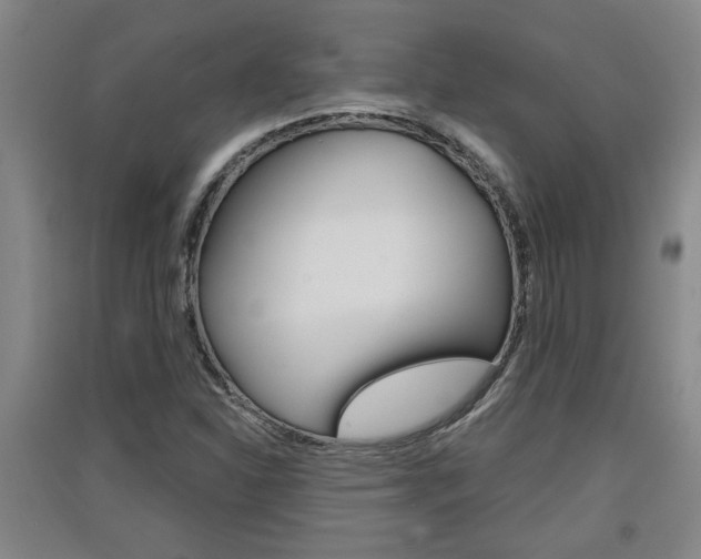 X0000091511310200708170941