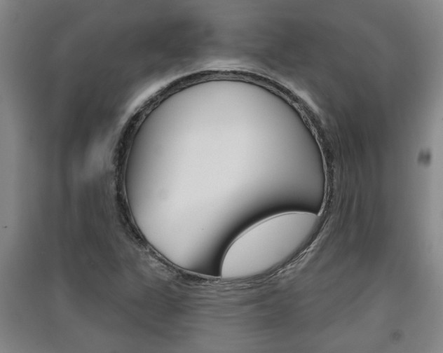 X0000091511311200708170941