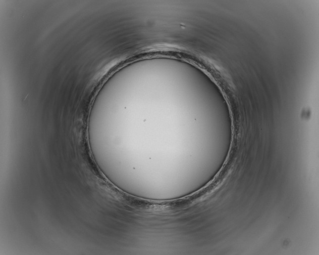 X0000091511313200708170941