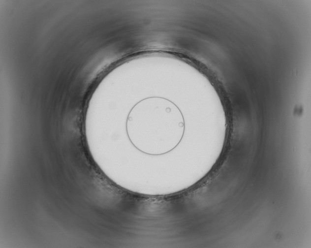 X0000091511314200708170941