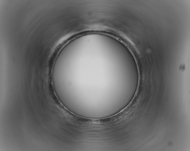 X0000091511315200708170941