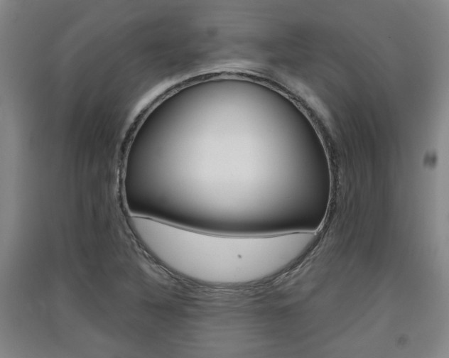 X0000091511316200708170941