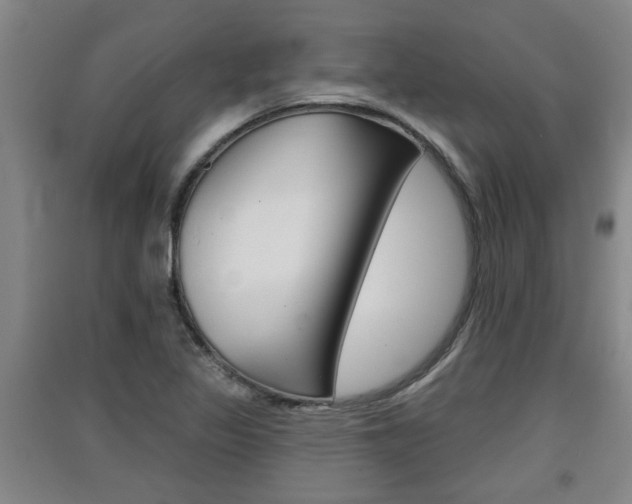 X0000091511317200708170941