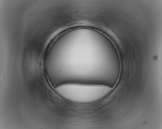 X0000091511318200708170941