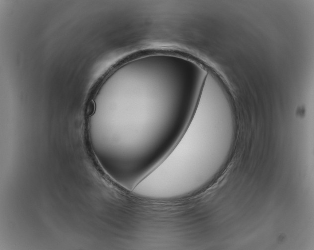 X0000091511319200708170941
