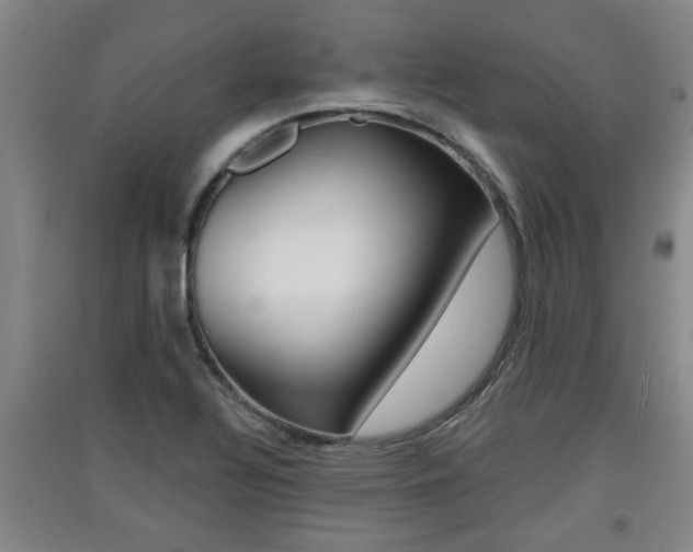 X0000091511320200708170941