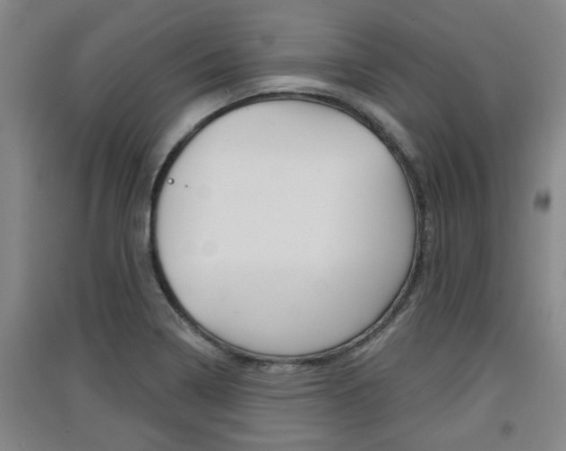 X0000091511322200708170941
