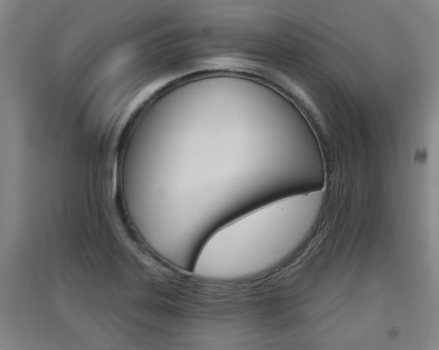 X0000091511323200708170941