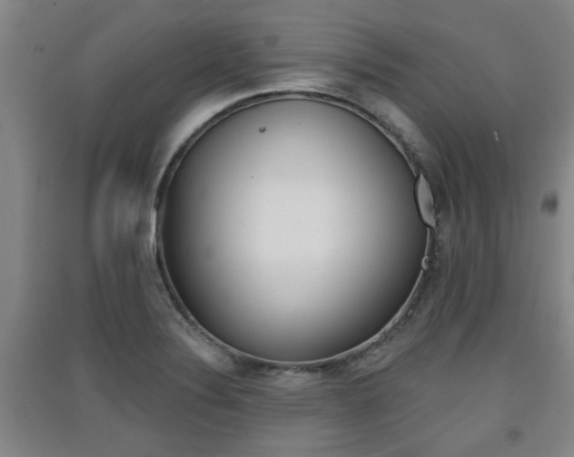 X0000091511324200708170941