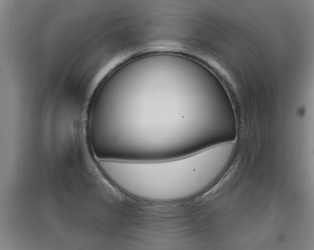 X0000091511325200708170941