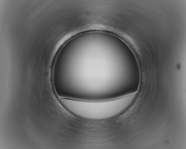 X0000091511326200708170941