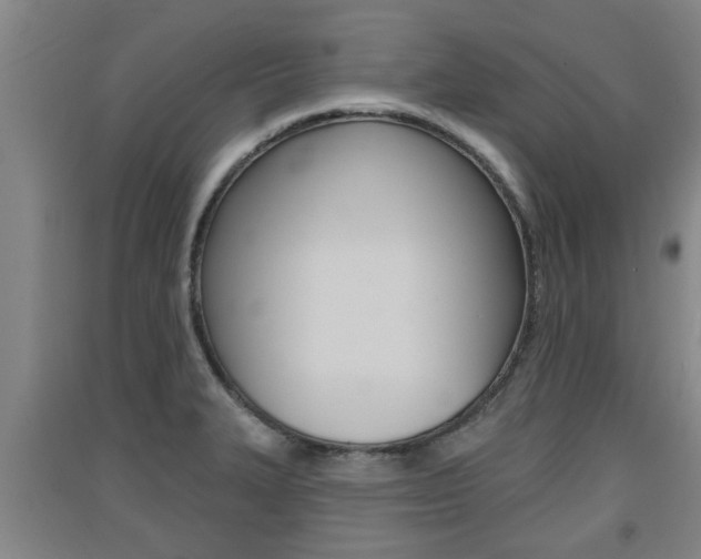 X0000091511327200708170941