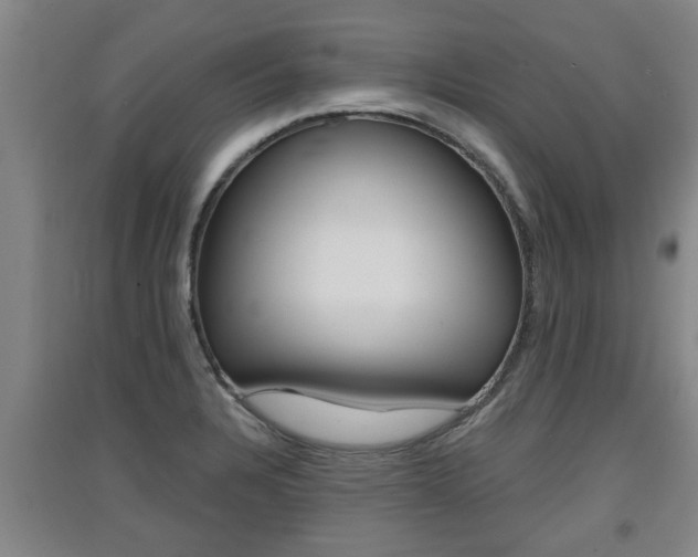 X0000091511328200708170942