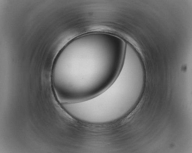 X0000091511330200708170942