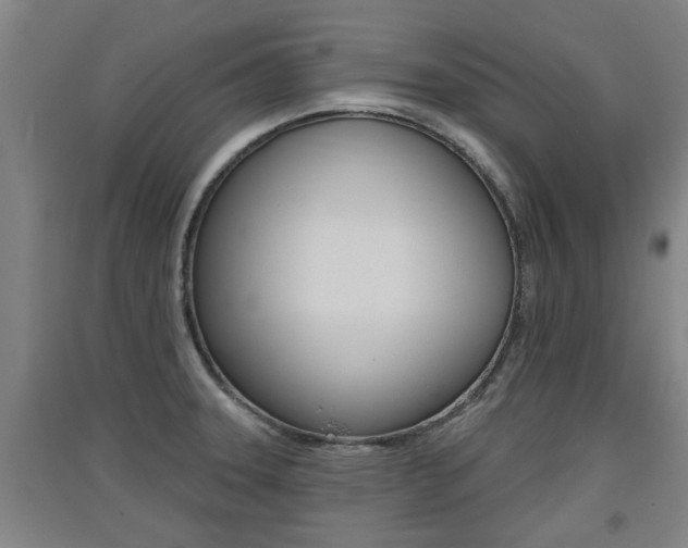 X0000091511331200708170942