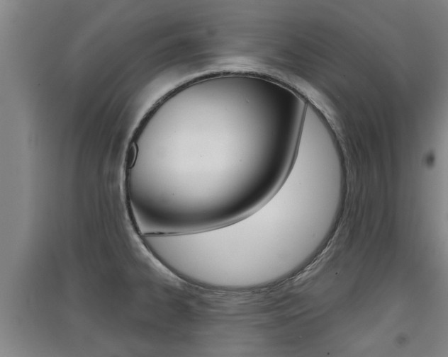 X0000091511334200708170942