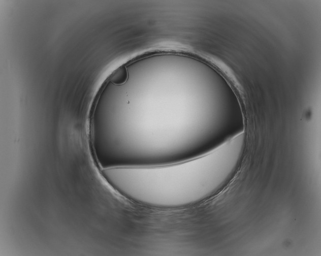 X0000091511335200708170942