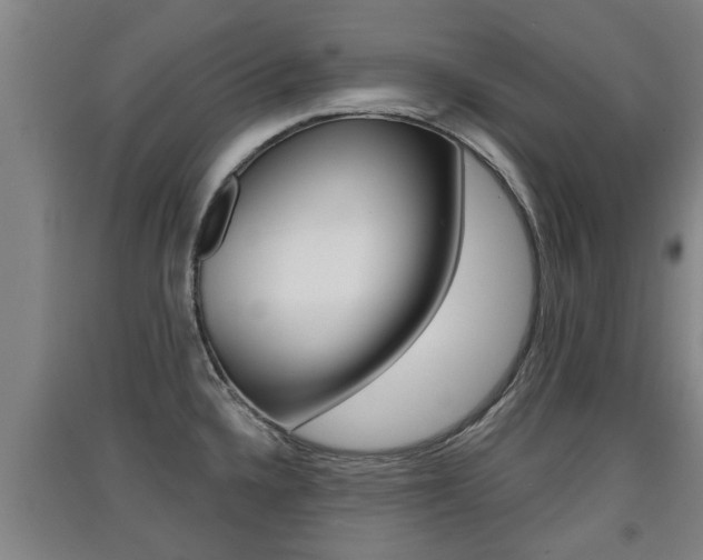 X0000091511336200708170942