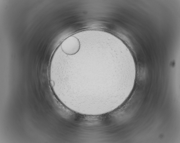 X0000091511338200708170942
