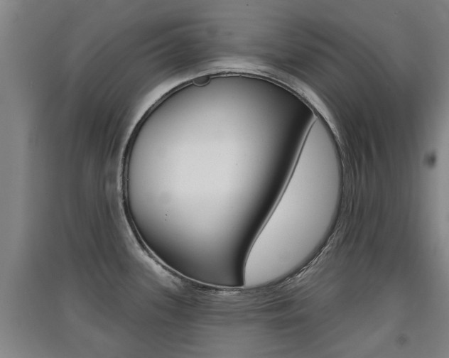 X0000091511339200708170942