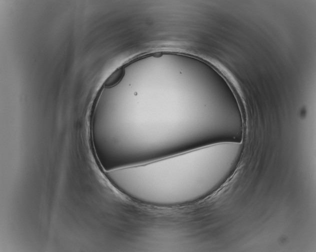 X0000091511341200708170942