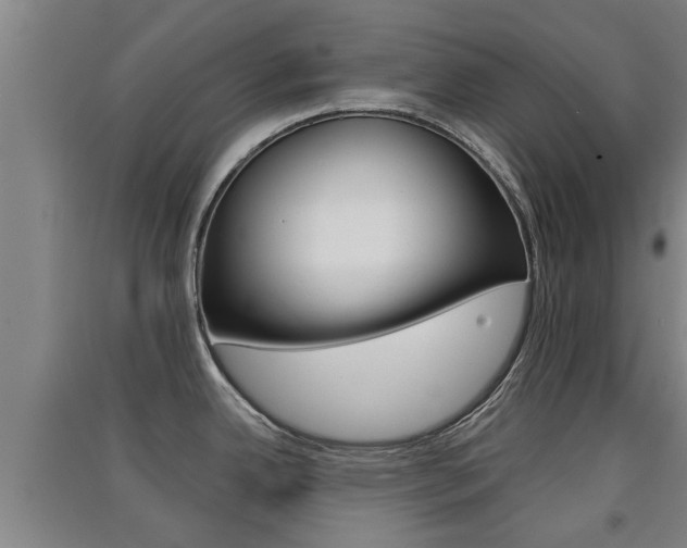 X0000091511342200708170942