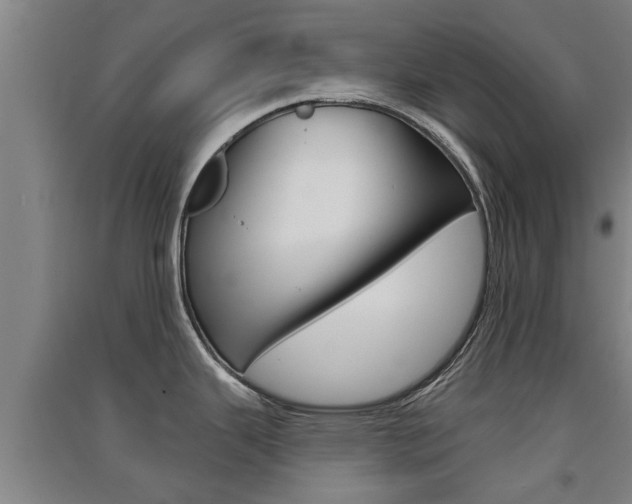 X0000091511343200708170942