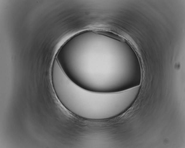 X0000091511344200708170942