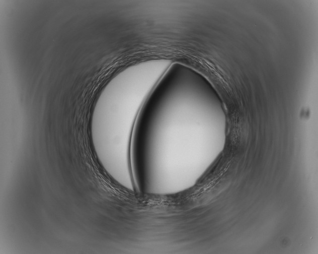 X0000091511345200708170941