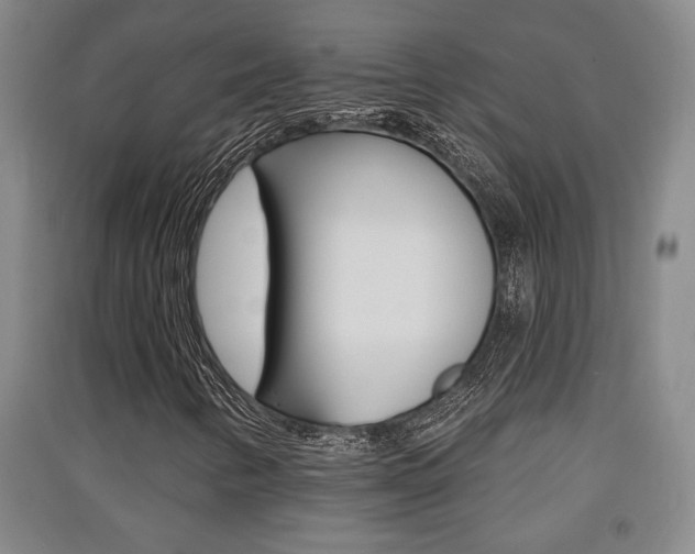 X0000091511346200708170941