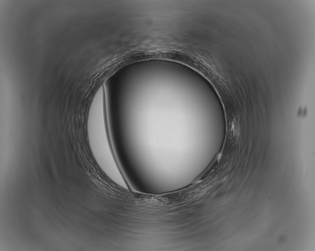 X0000091511348200708170941