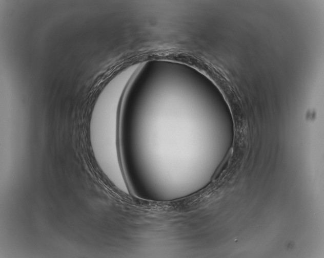 X0000091511349200708170941