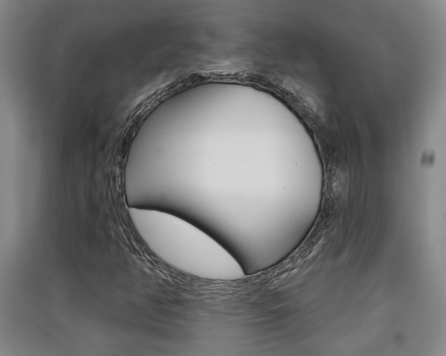 X0000091511350200708170941